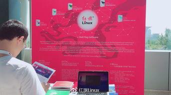 国产在线操,引领潮流的本土创新之作